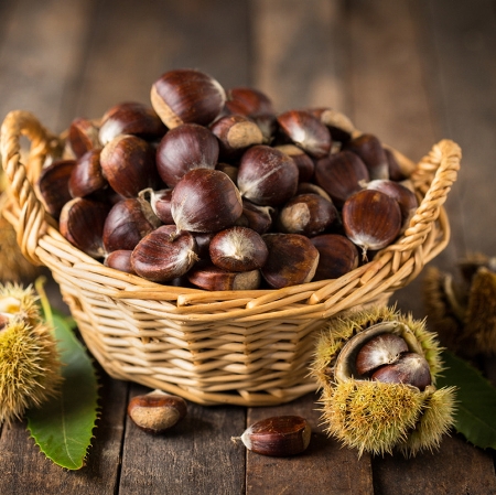 festa_delle_castagne